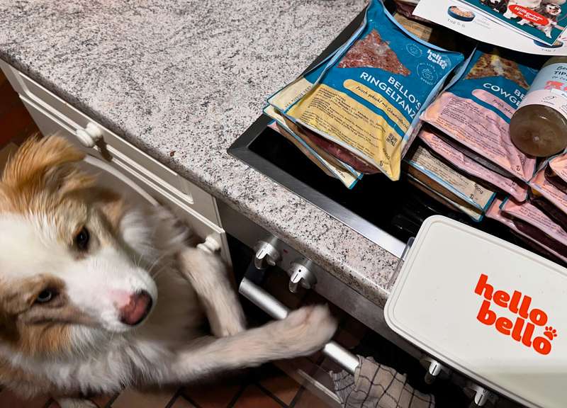 Auch der kleine Maxi schaut sich das HelloBello Futter an