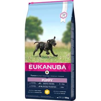 tests-EUKANUBA Puppy Large Breed-Bild