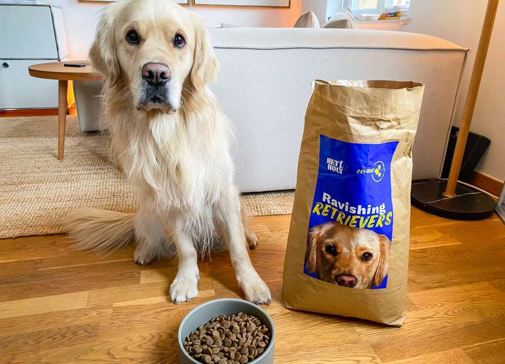 tests-HEY HOLY Ravishing Retrievers im Dogorama Test | Tierarztbewertungen und Feedback echter Hundehalter-Bild