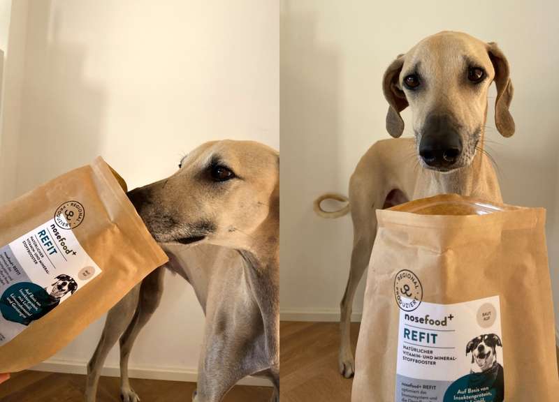 Zwei Bilder von Tadashi mit der nosefood Tüte