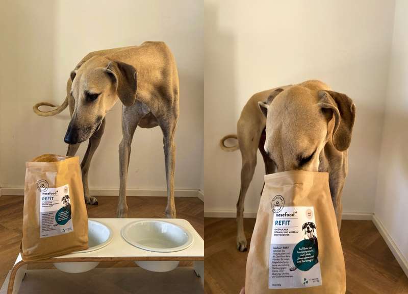 Tadashi schnuppert an der nosefood Tüte