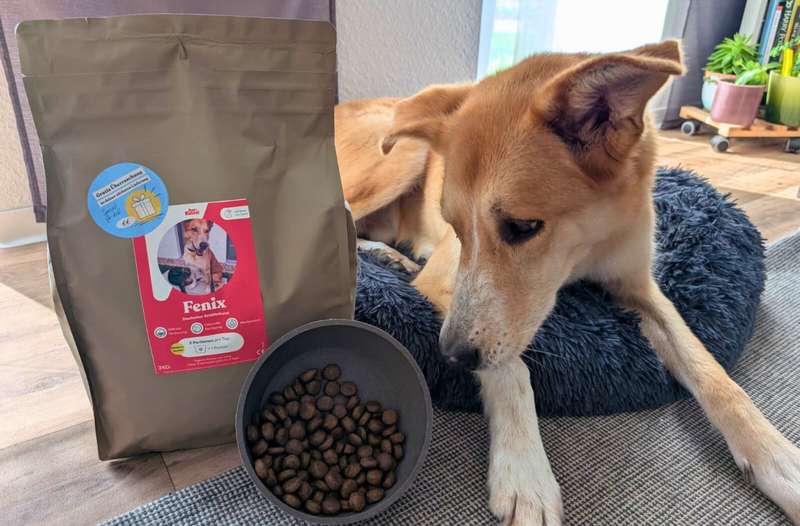 Bild von Fénix mit dem Futter von Just Russel