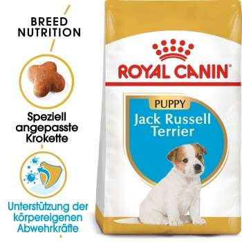 tests-Royal Canin Jack Russel Terrier Puppy-Bild