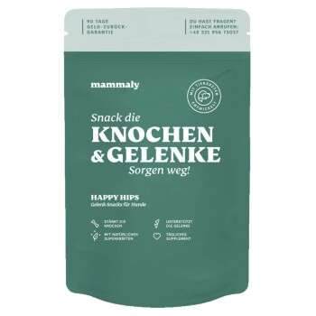 Produkt Test Titelbild