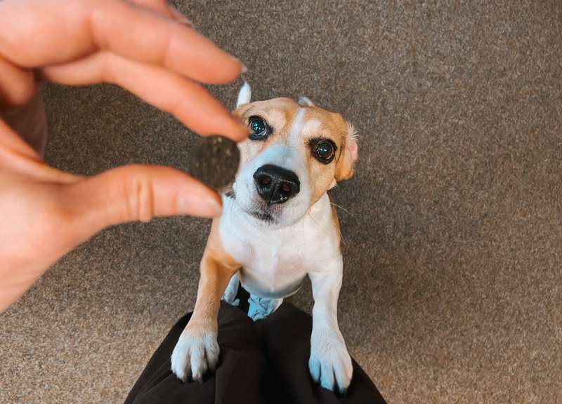Emma mit den BELLY Snacks, Snack in der Hand