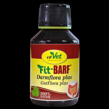 Produkt Test Titelbild