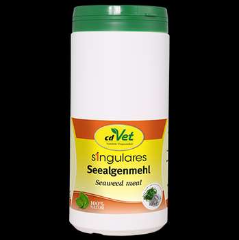 Produkt Test Titelbild