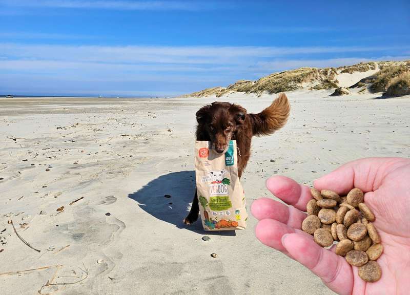 Dori mit dem Green Crunch VEGDOG Trockenfutter und einer Hand mit den Kroketten