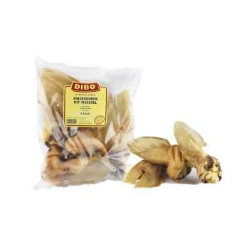 Produkt Test Titelbild