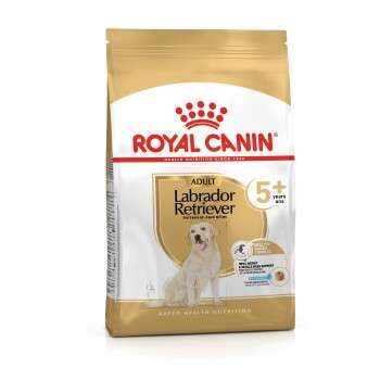 tests-Royal Canin Labrador Retriever 5+ Adult-Bild