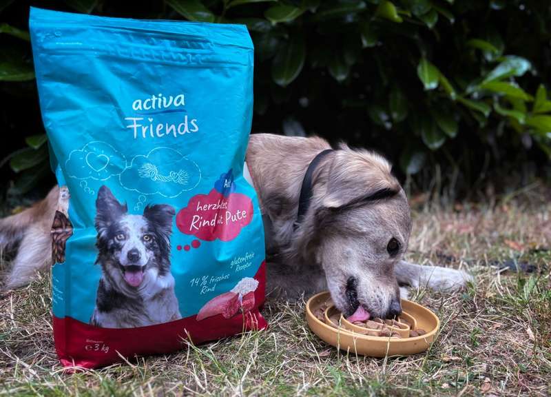 Kjell frisst das activaFriendsTF