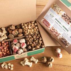 Produkt Test Titelbild