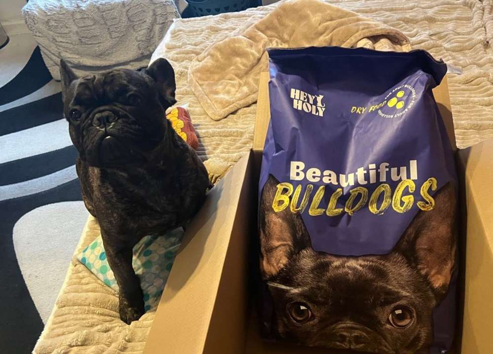 tests-Dogorama Testbericht: HEY HOLY Beautiful Bulldogs - Bewertung von Tierärztin und echten Hundeeltern-Bild