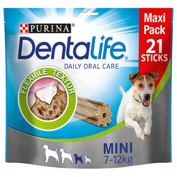 tests-Dentalife Maxipack Mini-Bild