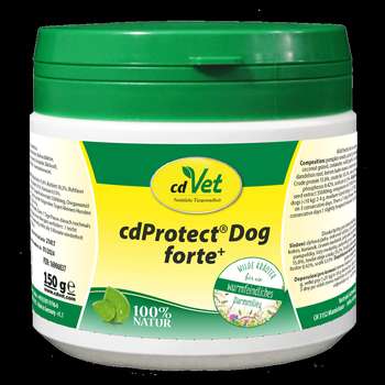 Produkt Test Titelbild