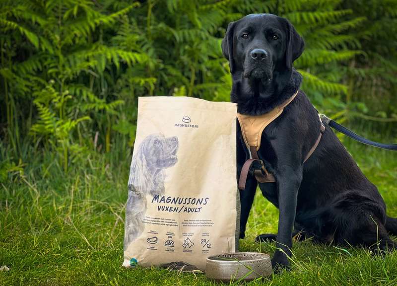 Hund Sali sitzt neben Futterbeutel von Magnusson