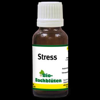 Produkt Test Titelbild