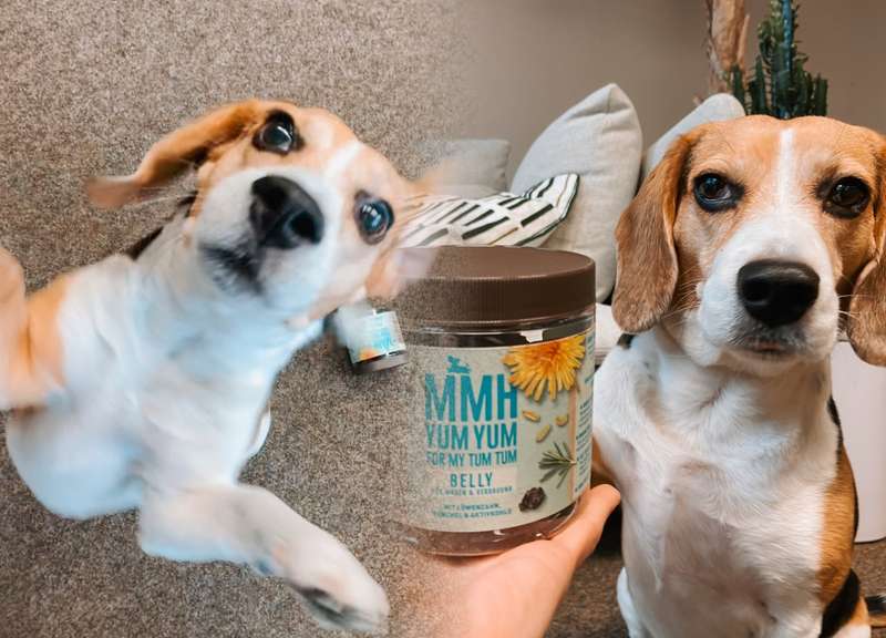 Zwei Bilder, BELLY Snack und Emma