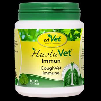 Produkt Test Titelbild