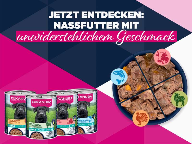 Banner EUKANUBA Nassfutter