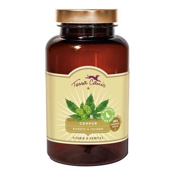 Produkt Test Titelbild