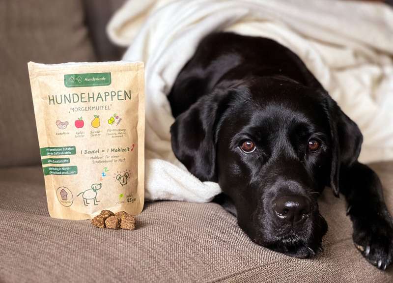 Sali mit den Morgenmuffel Leckerlis auf der Couch