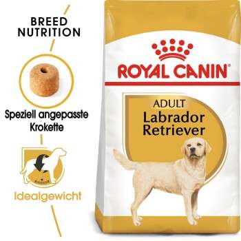 tests-Royal Canin Labrador Retriever Adult-Bild