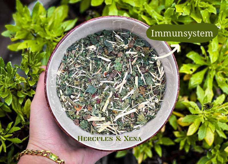 Hercules & Xena Kräutermischung in einer Schüssel