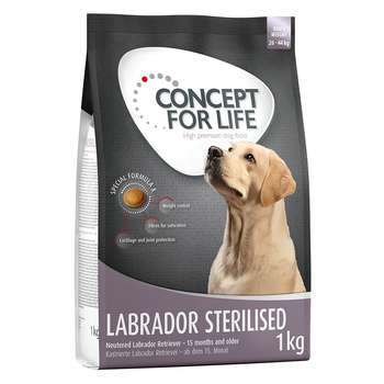 tests-Concept for Life Labrador Sterilised-Bild