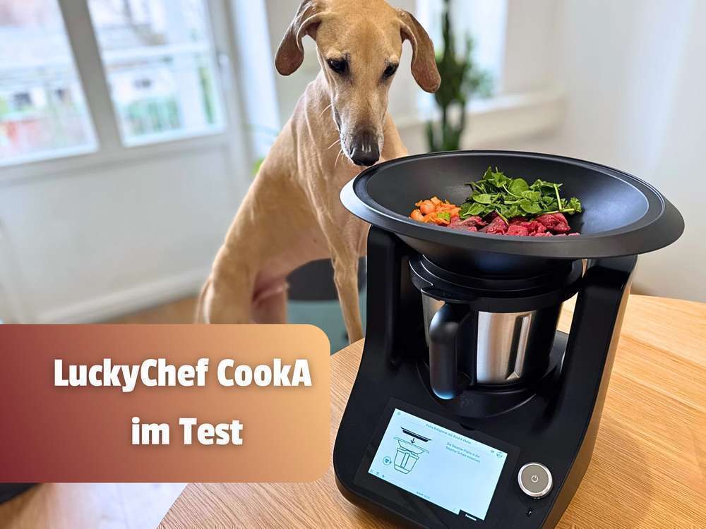 tests-LuckyChef CookA im Test: Wie gut funktioniert die smarte Hundeküche im Alltag? - Unsere Erfahrungen mit dem LuckyChef CookA-Bild