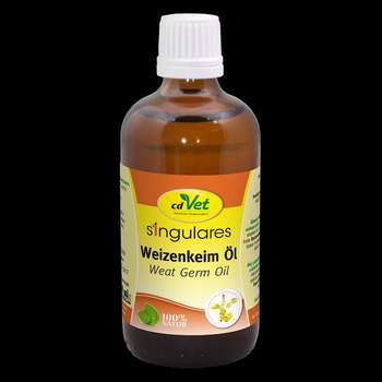 Produkt Test Titelbild