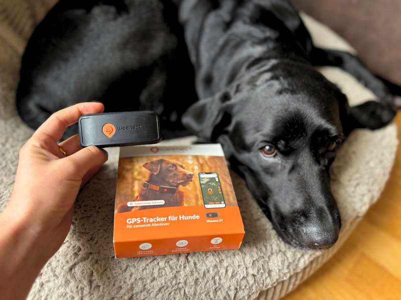 Weenect XT GPS Tracker Erfahrungen