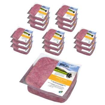 Produkt Test Titelbild