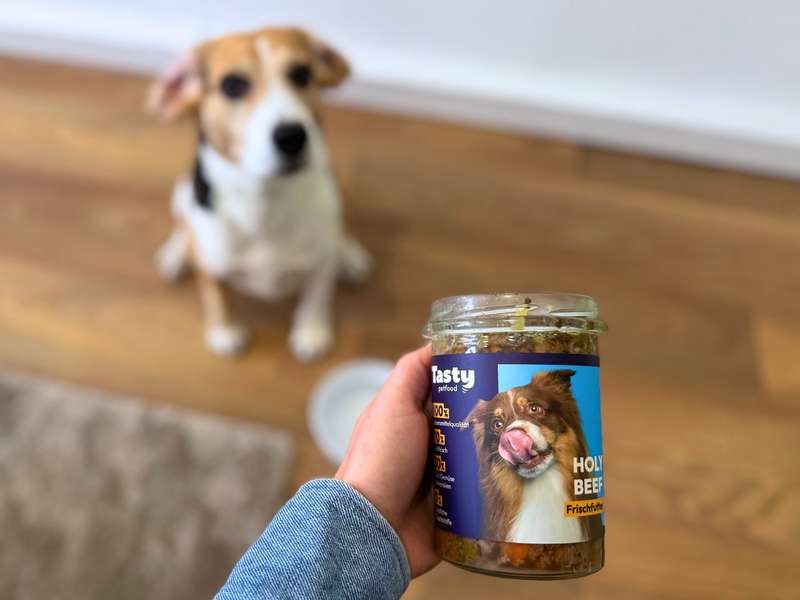 Rind Frischfutter Tasty Petfood Frischfutter im Glas Holy Beef im Test
