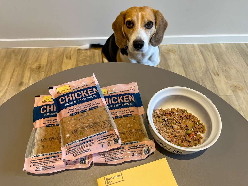 tests-Frisch gekochtes Hundefutter im Check: So schneidet Butternut Box Huhn bei der Community & Tierärztin ab-Bild