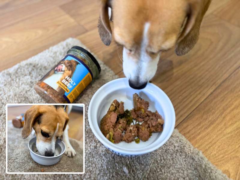 Tasty Petfood Frischfutter im Glas Holy Beef im Test