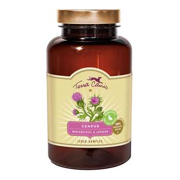 Produkt Test Titelbild