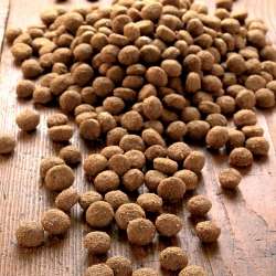 Produkt Test Titelbild