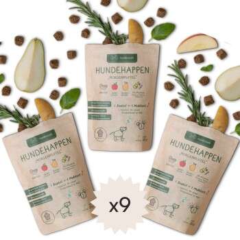 Produkt Test Titelbild