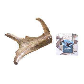 Produkt Test Titelbild