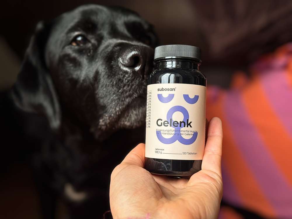 Dogorama Futtertest: subosan® Gelenktabletten – Hochdosierte Gelenkunterstützung für Hunde 🐶