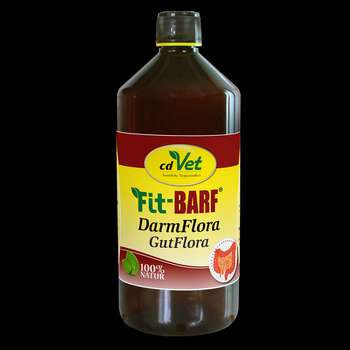 Produkt Test Titelbild