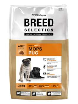 tests-Wildsterne Breed Selection Mops-Bild