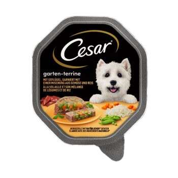 Produkt Test Titelbild