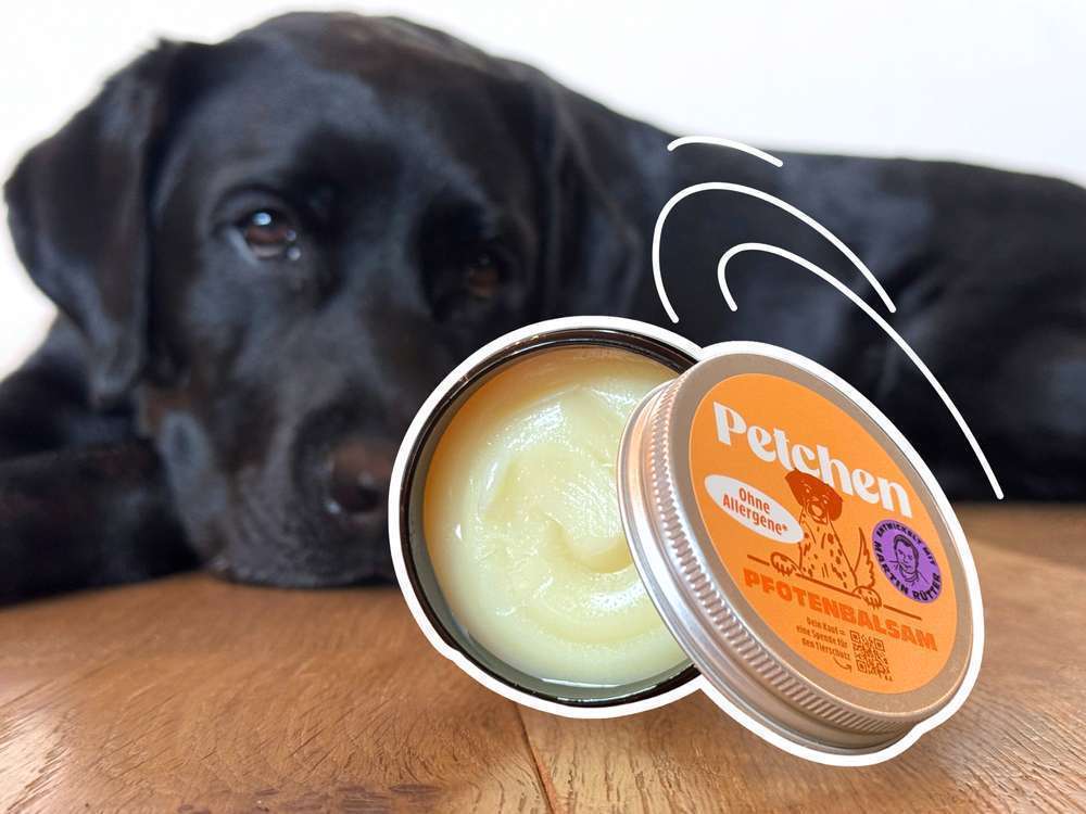 Petchen Pfotenbalsam Erfahrungen: Unser Test, Erfahrungen von Hundeeltern & Tierarzt Meinung