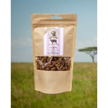 Produkt Test Titelbild