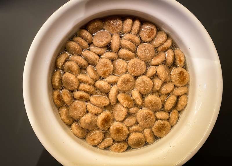 Trockenfutter nach 30 Minuten Einweichzeit