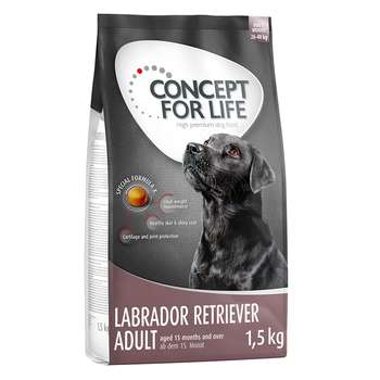 tests-Concept for Life Labrador Retriever Adult-Bild