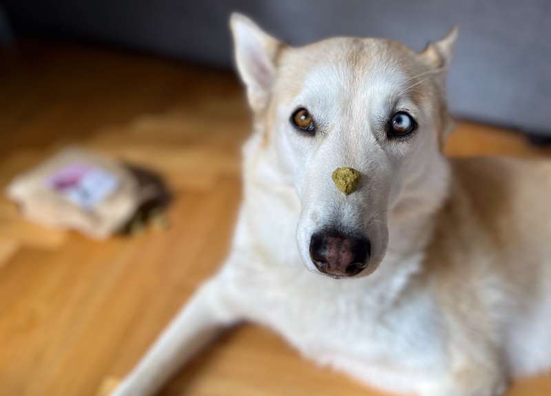 Kaya mit Castra Herz auf der Nase