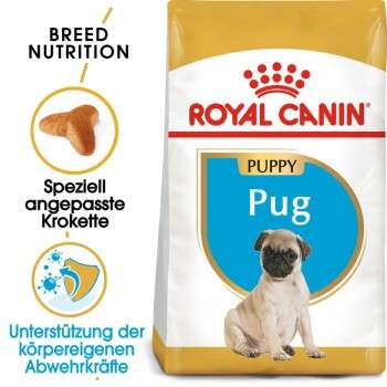 tests-Royal Canin Mops Puppy-Bild